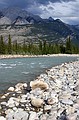 Snaring River - Jasper