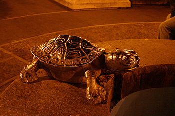 Silver turtle