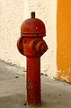 Fire Hydrant ( for Anjie, love R)