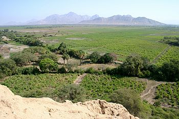 View from Pyramid - Sipan
