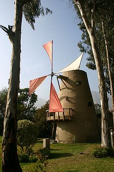 Windmill in Jorge's garden